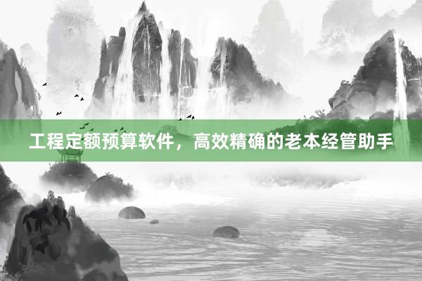 工程定额预算软件，高效精确的老本经管助手