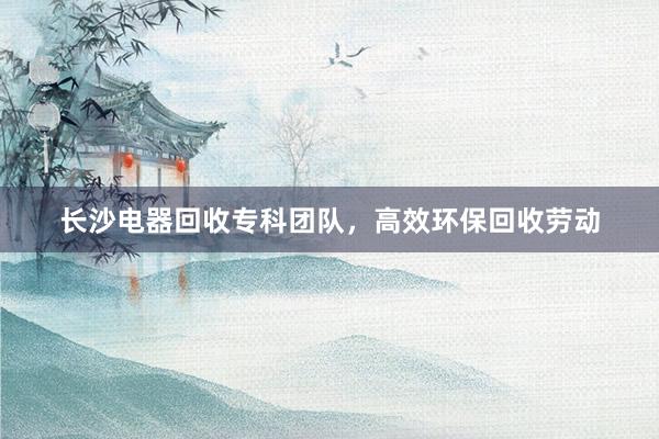 长沙电器回收专科团队，高效环保回收劳动