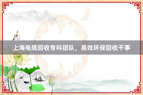 上海电缆回收专科团队，高效环保回收干事